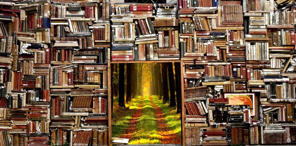 Read to Succeed