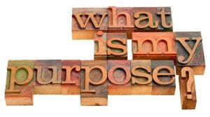 Definiteness of Purpose 8 Figure Company