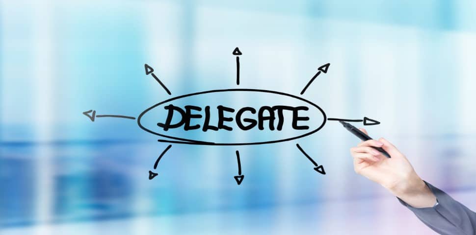 Delegation Traits of Successful Business Owners