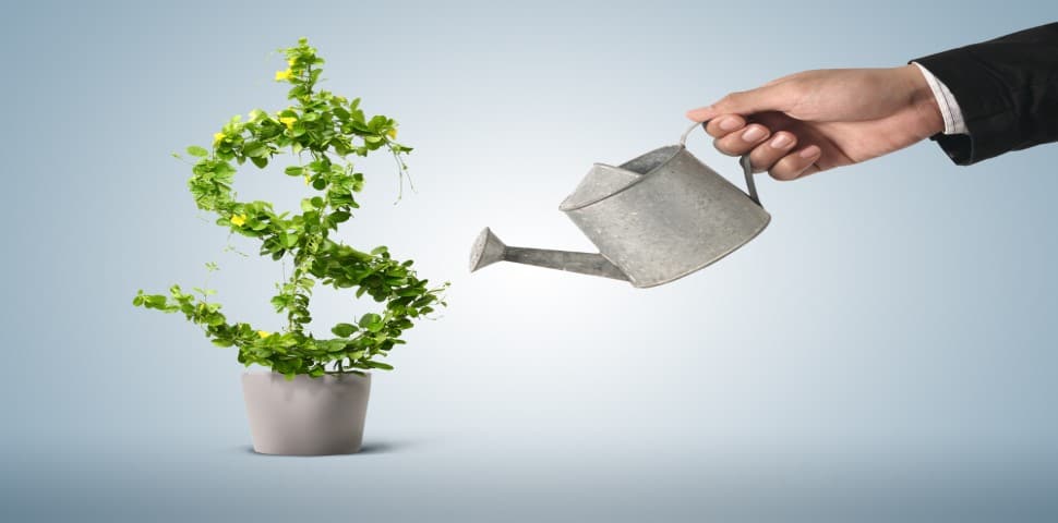Growth Cultural Fit Of The Buyer