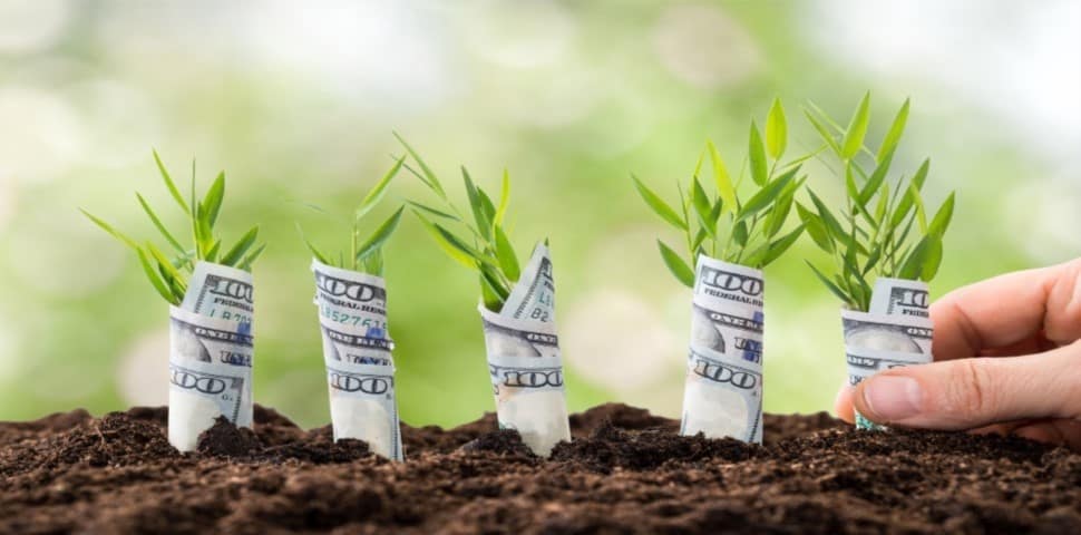 Investment Plan After An Exit