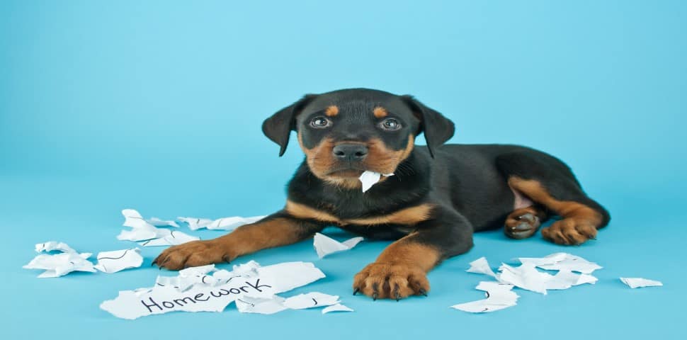 Mistakes When Selling Your Business