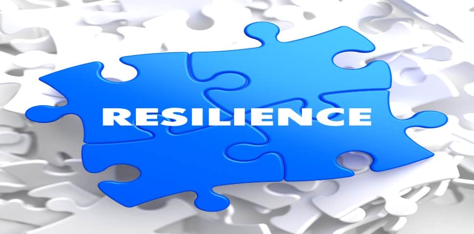 Traits of Successful Business Owners
